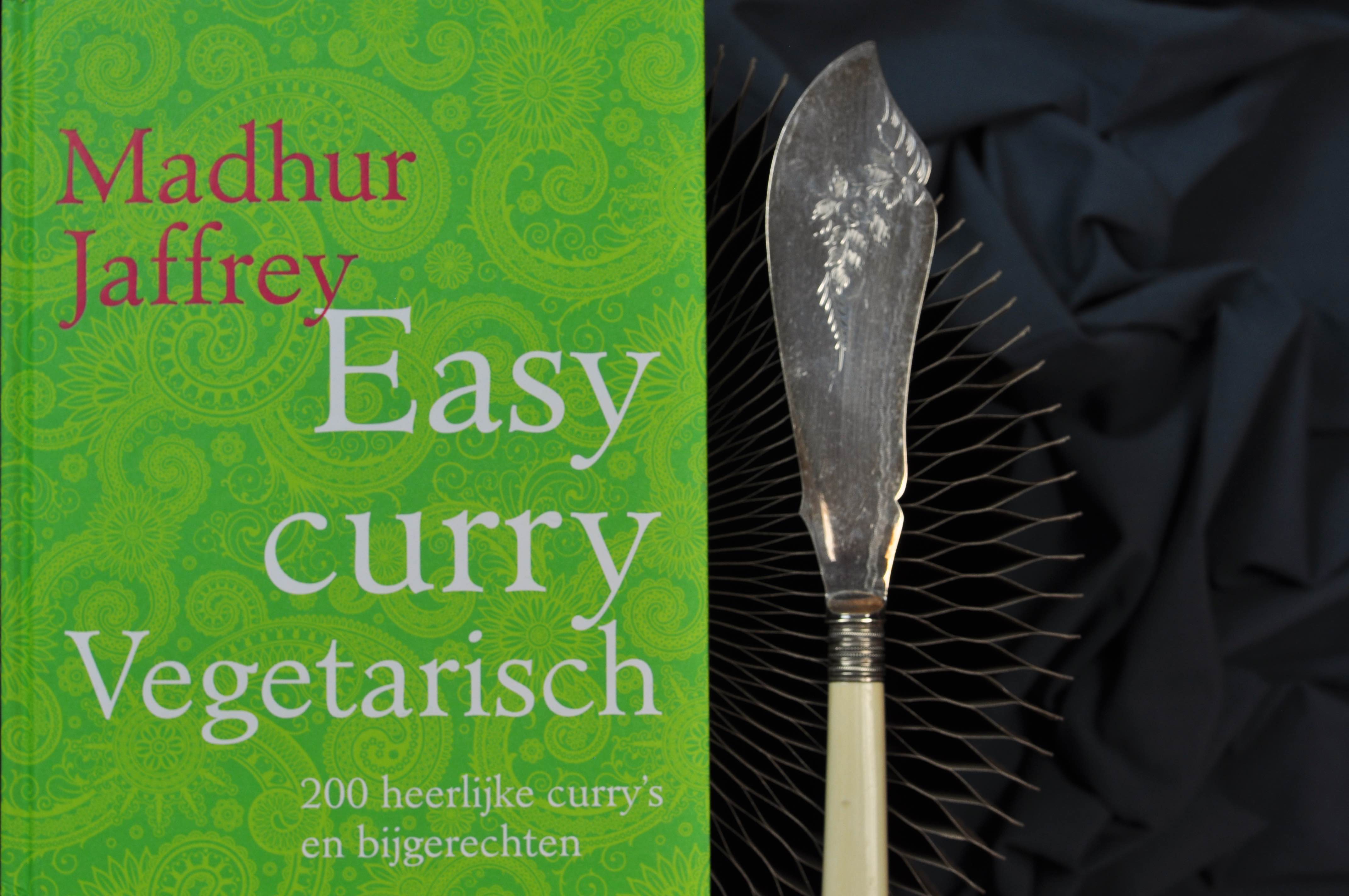 Easy_curry_vegetarisch