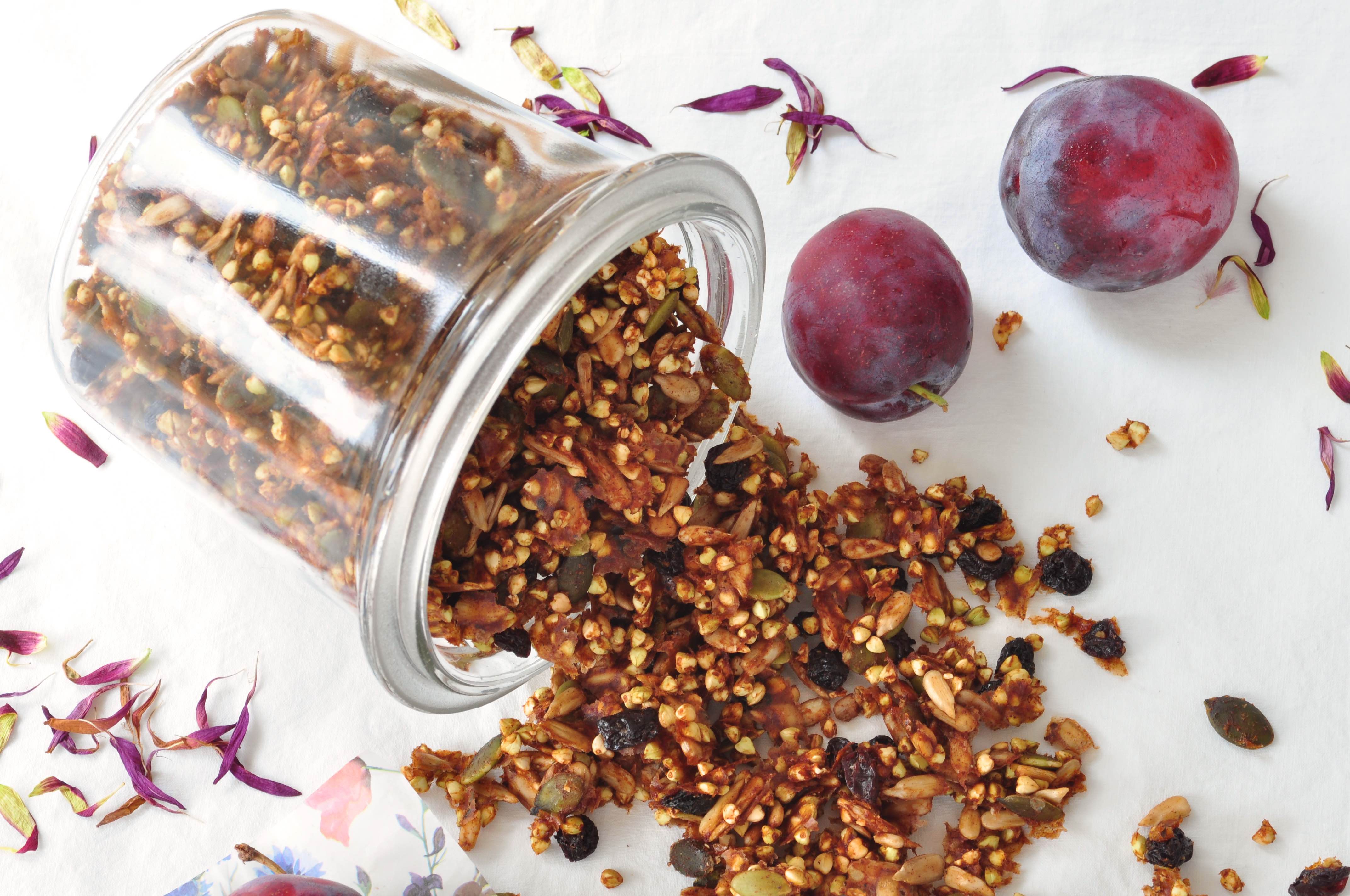 Granola_with_plums_and_cinnamon_2